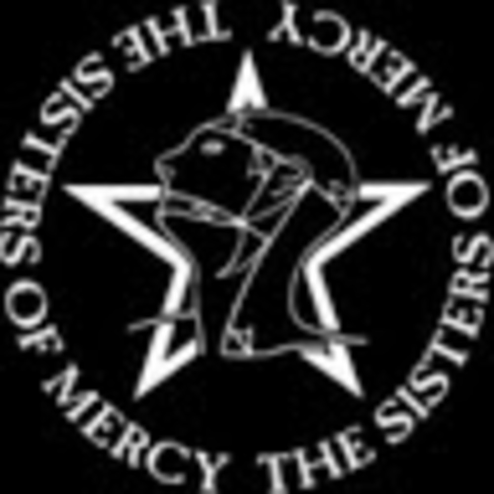 Meet your Posher, Hayley